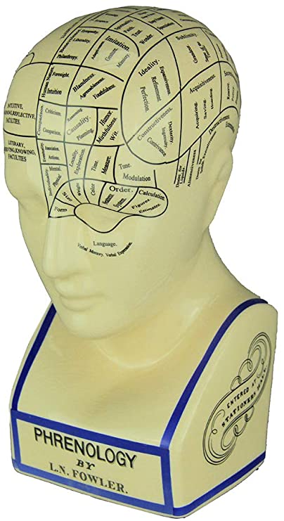 A white plastic head with various regions sectioned off, each describing a different personality trait.