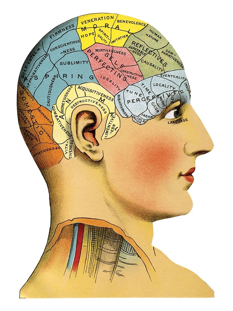 An old drawing of a human head, with different parts labeled with different personality traits, and colored different colors.